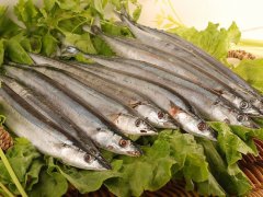 秋刀魚(yú)